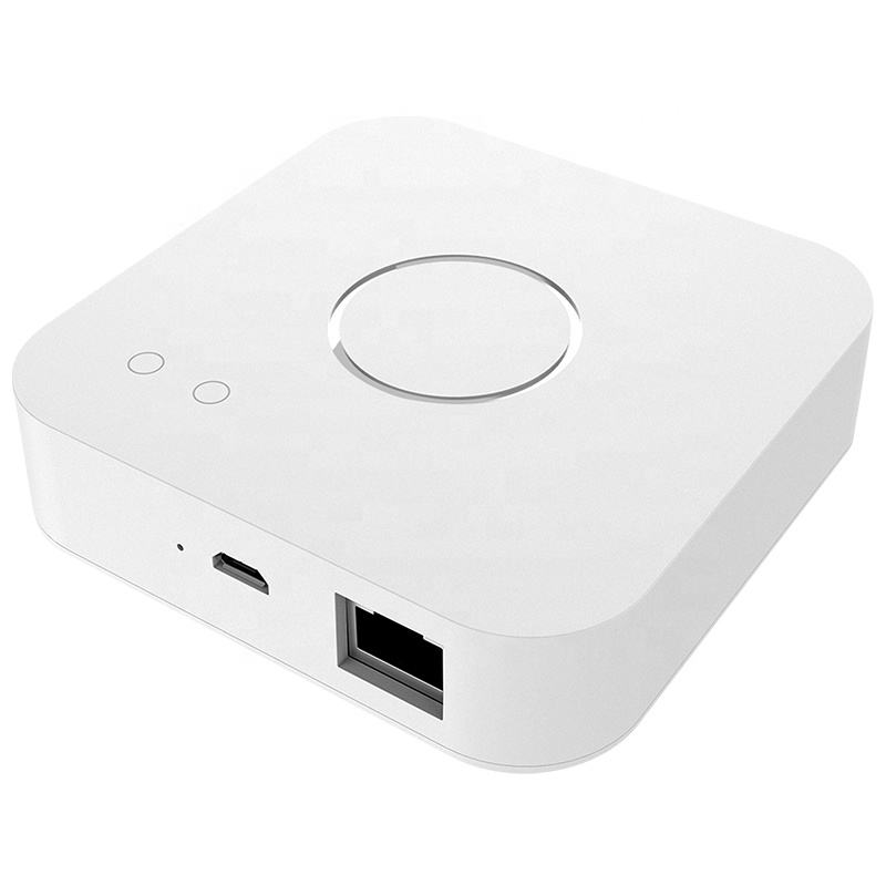 IoT Gateway & Edge AI